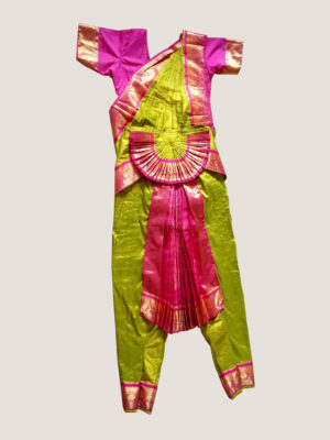 Kanjiwaram Parrot-Green Bharatnatyam Costume